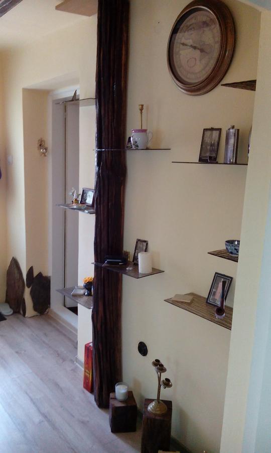 Casa Cosmin Guest House Dobra Exterior foto