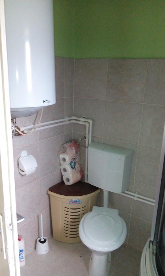 Casa Cosmin Guest House Dobra Exterior foto