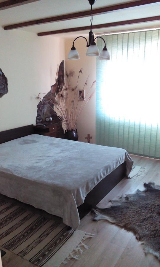 Casa Cosmin Guest House Dobra Exterior foto