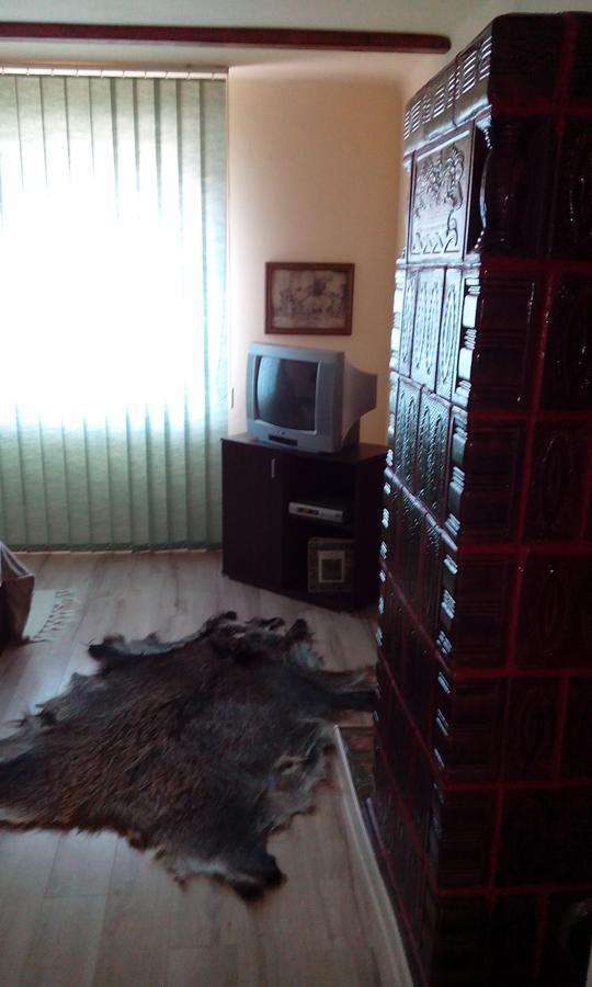Casa Cosmin Guest House Dobra Exterior foto