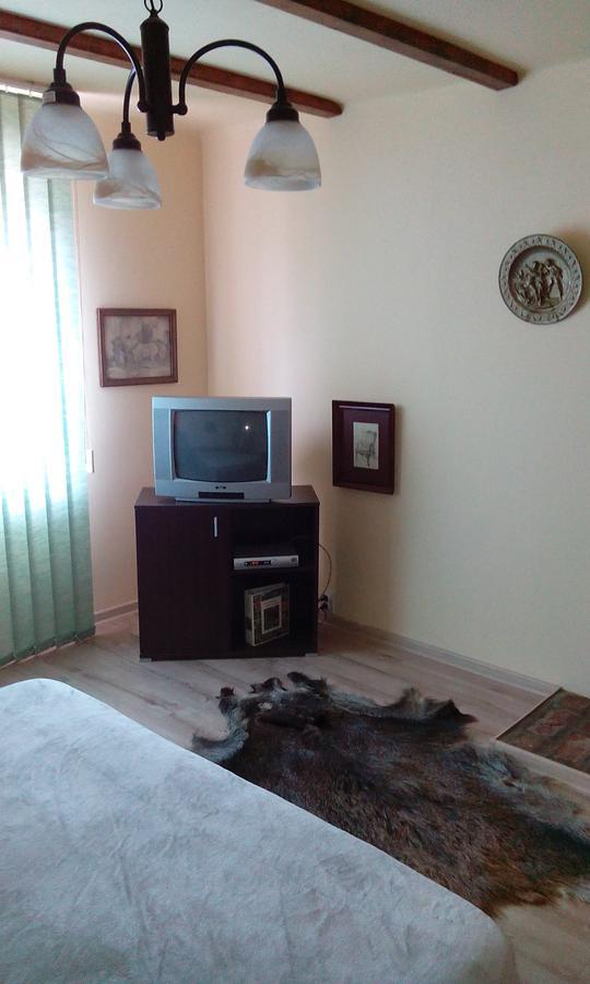 Casa Cosmin Guest House Dobra Exterior foto