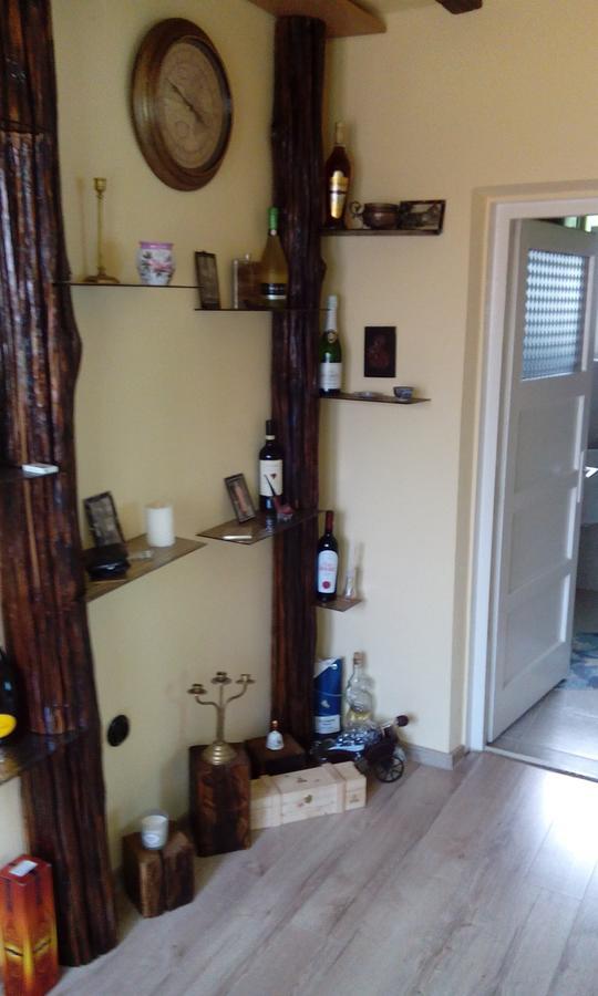 Casa Cosmin Guest House Dobra Exterior foto