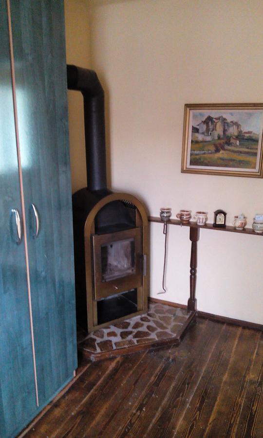 Casa Cosmin Guest House Dobra Exterior foto