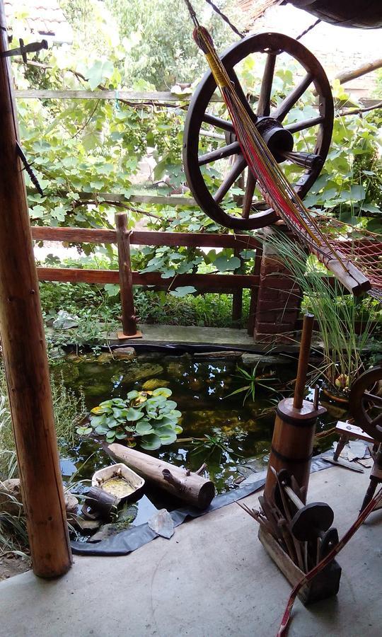 Casa Cosmin Guest House Dobra Exterior foto