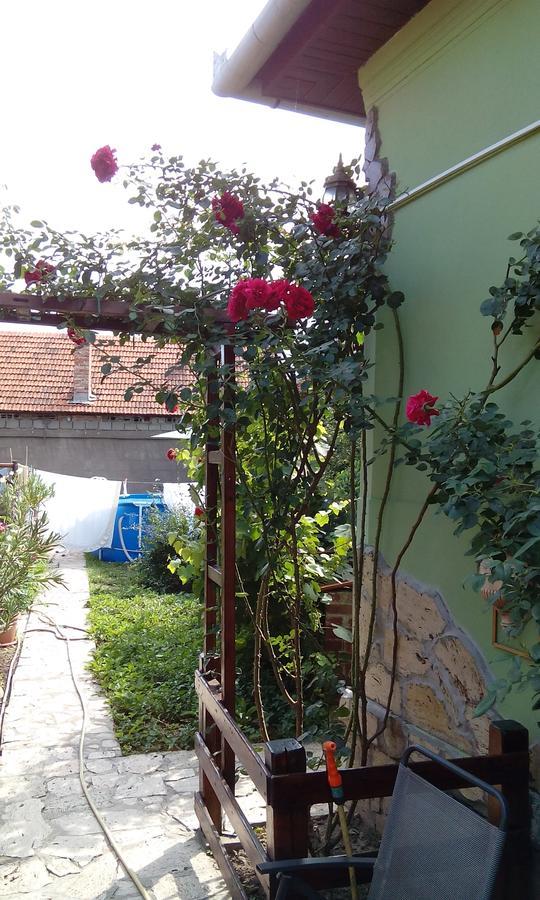 Casa Cosmin Guest House Dobra Exterior foto